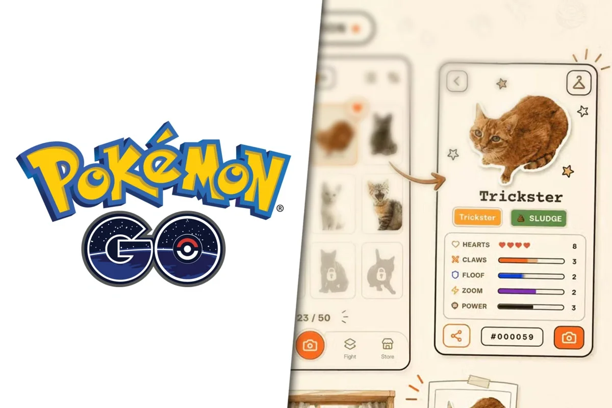 CatchCat: cómo funciona el nuevo juego con gatos reales inspirado en Pokémon GO