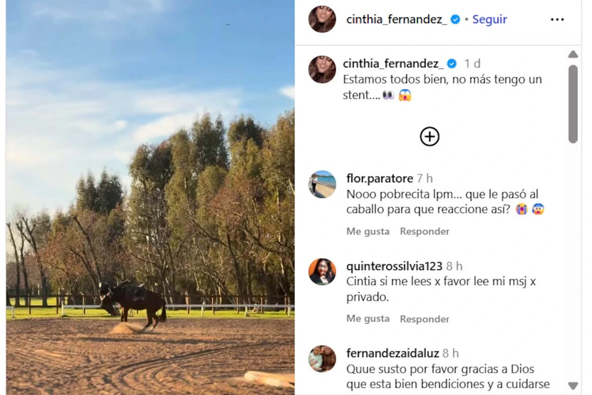 What Cinthia Fernández's followers said about the fall