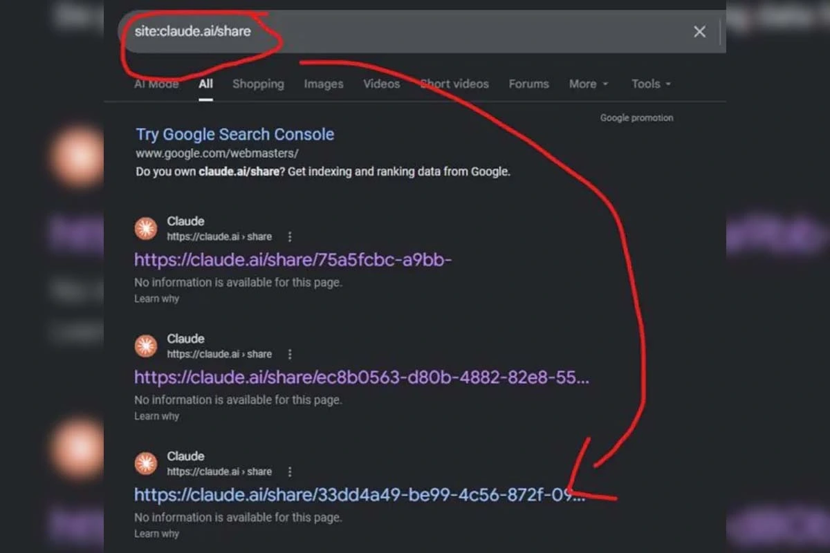 Cómo funciona la función de compartir chats de Claude