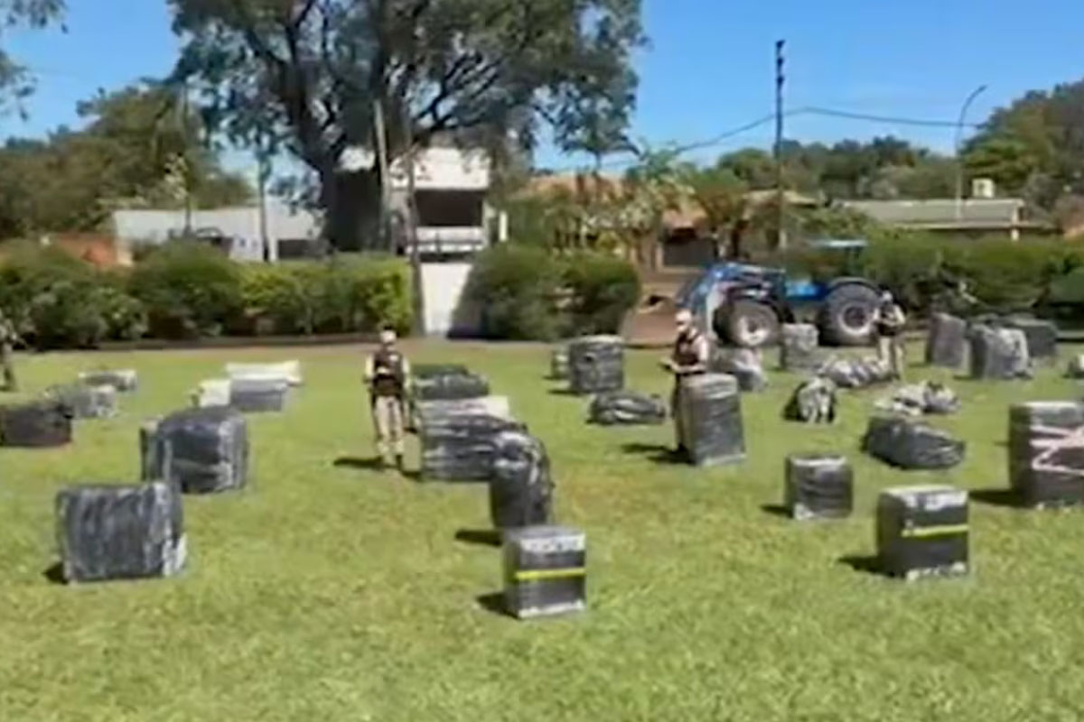 El cargamento secuestrado