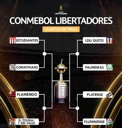 El panorama de la Copa Libertadores