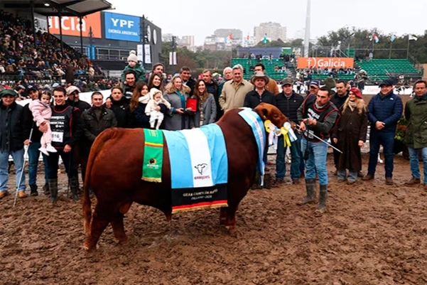 Más cucardas: Córdoba sigue cosechando éxitos en la Expo Rural de Palermo