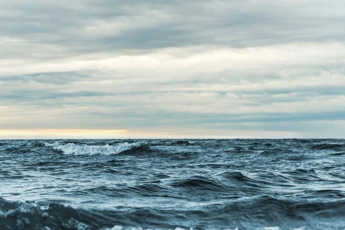 Los científicos plantearon la hipótesis de que el agua existe en dos estados líquidos distintos