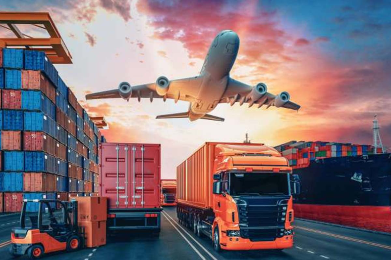 What is Exporta Simple and what is it used for?