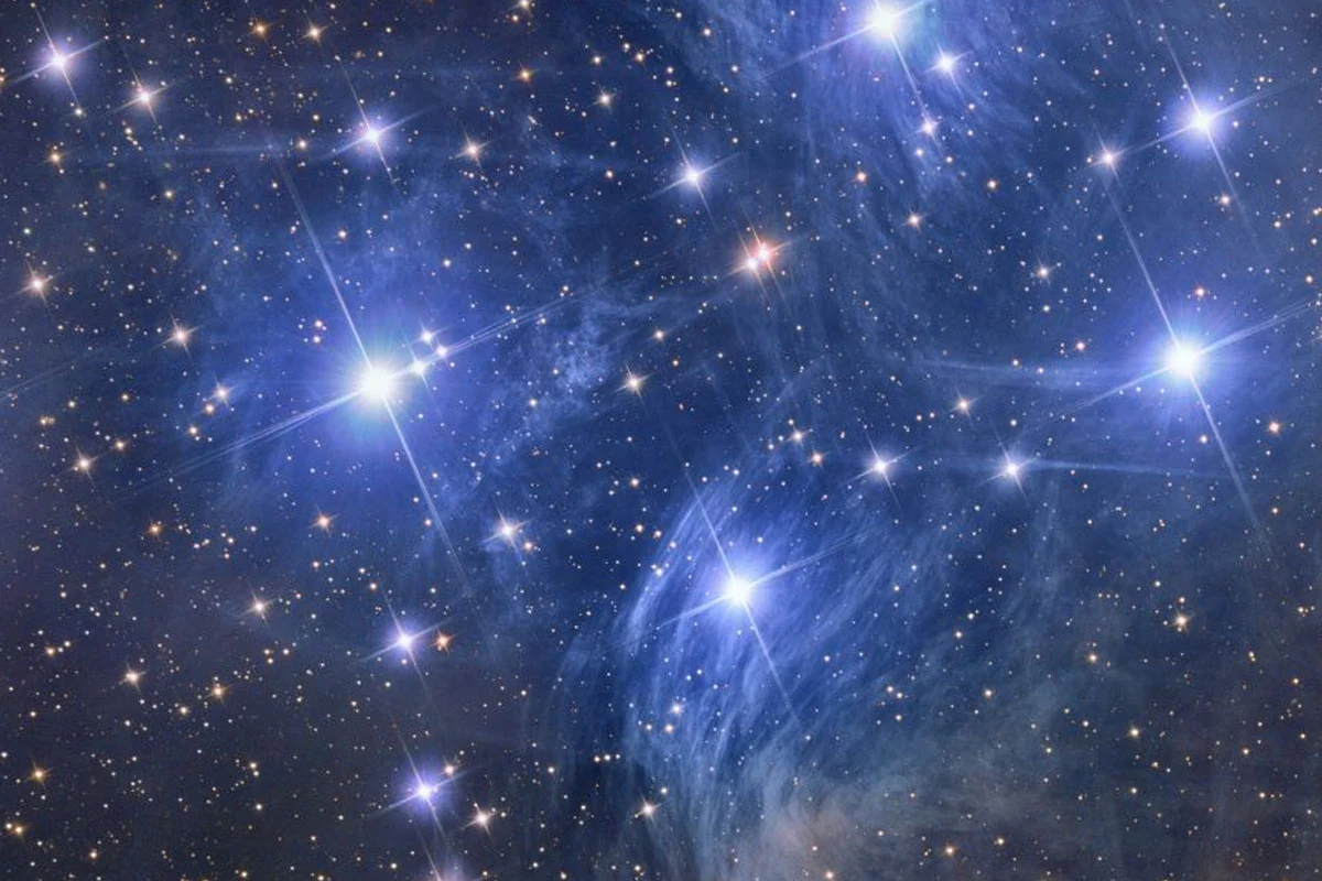 How PRIMA will study the evolution of galaxies and black holes