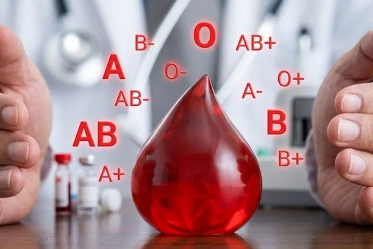 La validación se realizó junto a la Cruz Roja Internacional de Japón