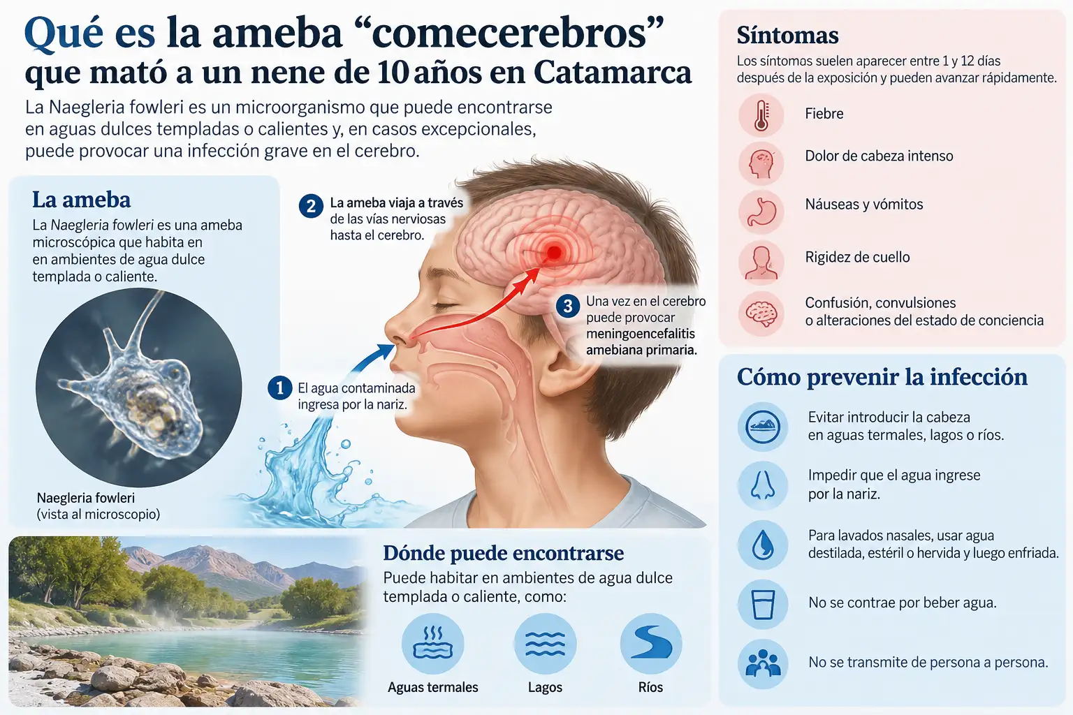 Cómo ingresa al cerebro la ameba 