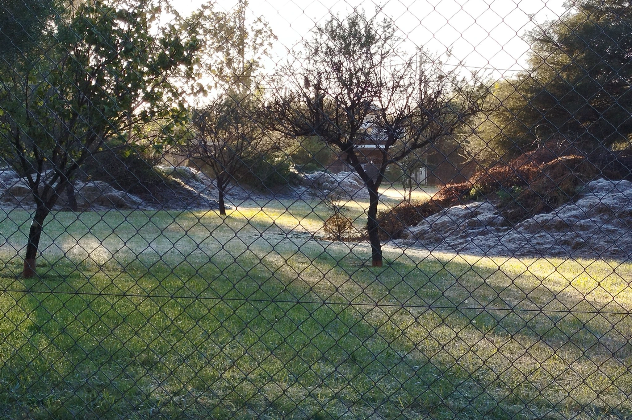 Córdoba: con la helada más fuerte del año, la temperatura llegó a -9,6 ºC