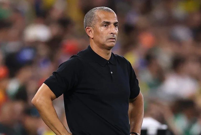 Lamouchi was dismissed from Tunisia after the thrashing against Sweden
