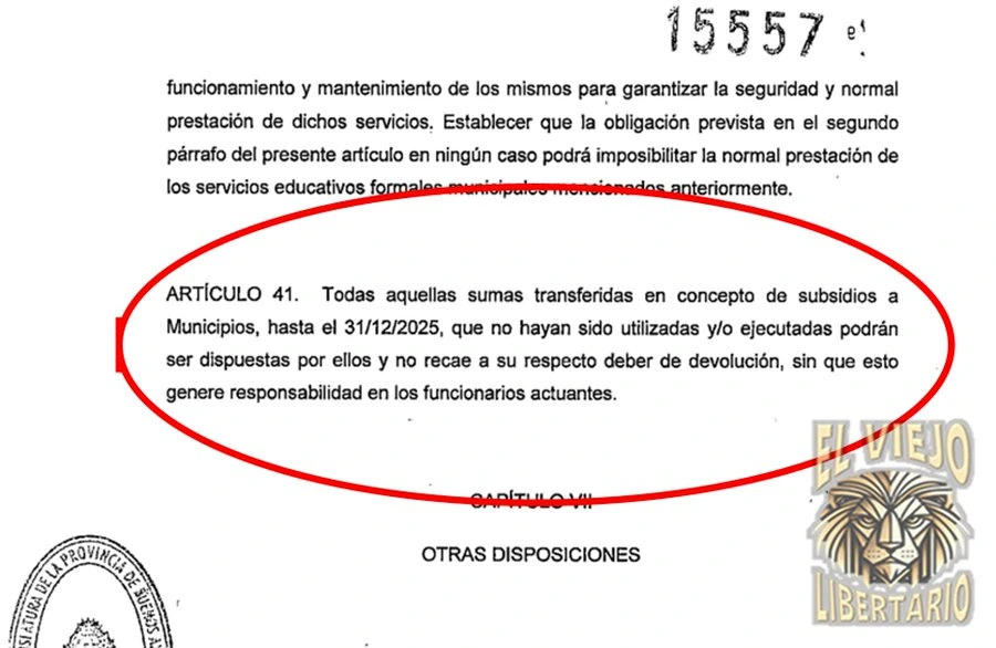 Artículo 41