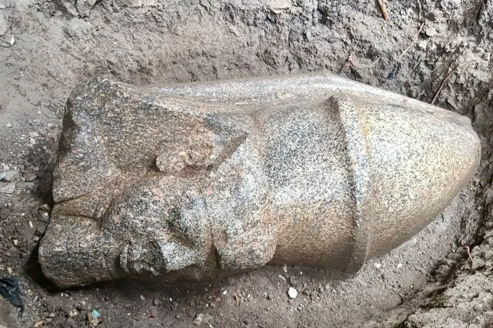 Estuvieron ocultas durante tres mil años en Egipto: el sorprendente hallazgo de dos estatuas de Ramsés II
