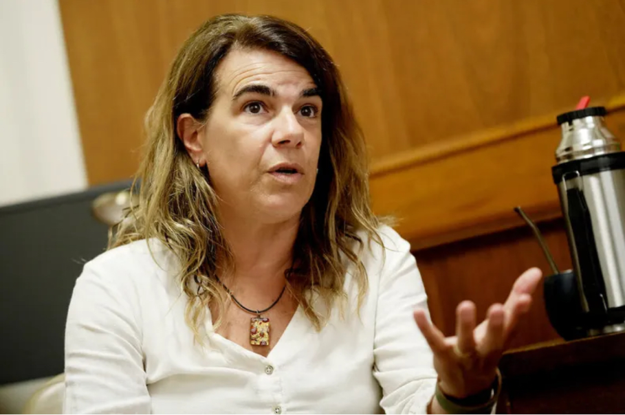 Sincericide: Silvia Nane confessed that without money to distribute, it is impossible for the FA to create a popular government.