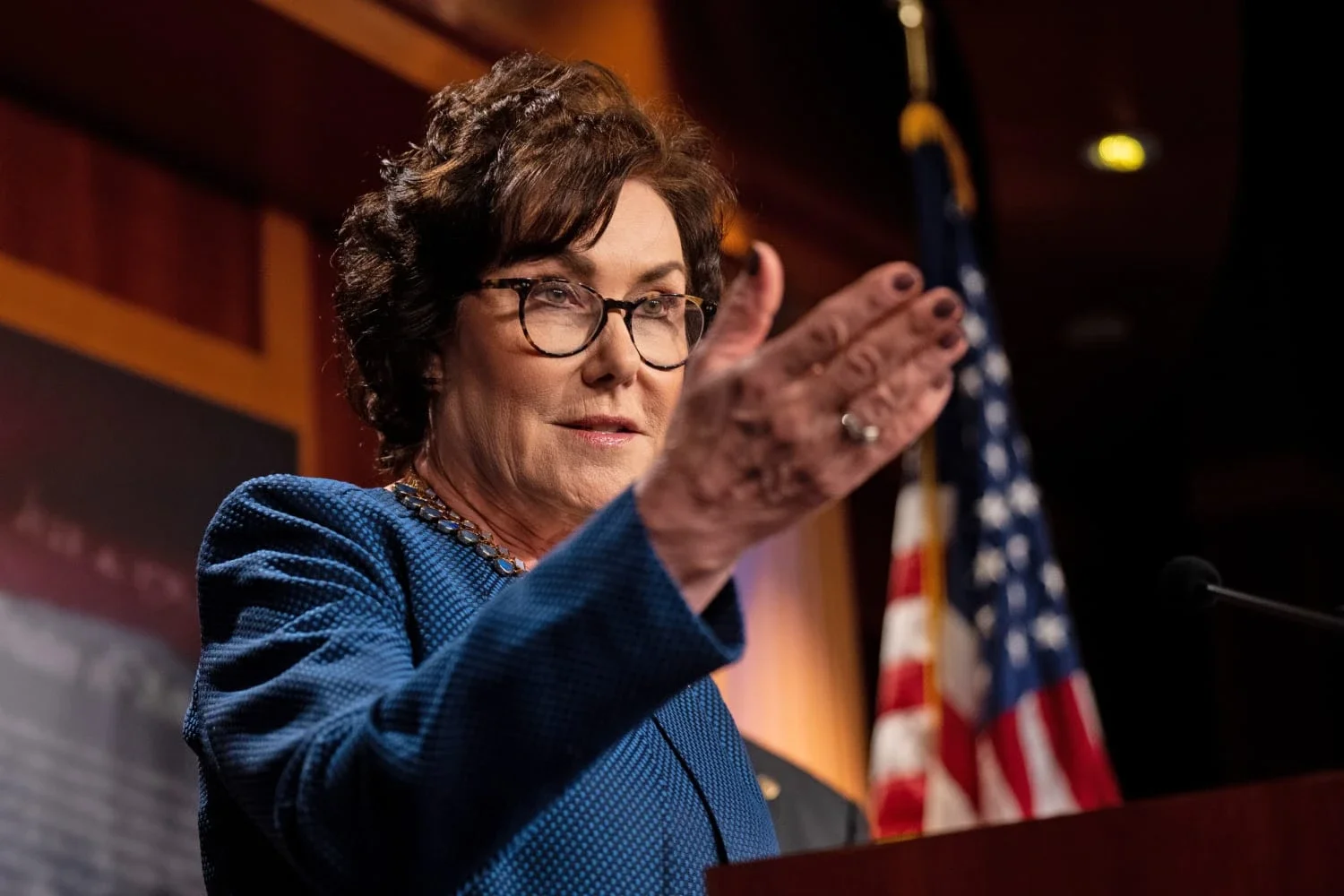 A group of Democratic senators joined Republicans and warned about the danger posed by the new Chinese legislation