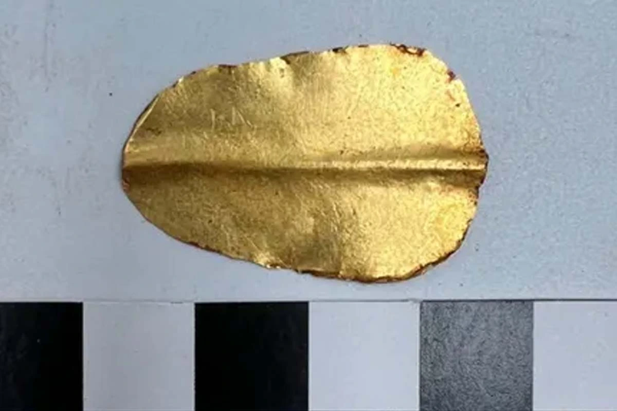 Otros descubrimientos en el mismo sitio