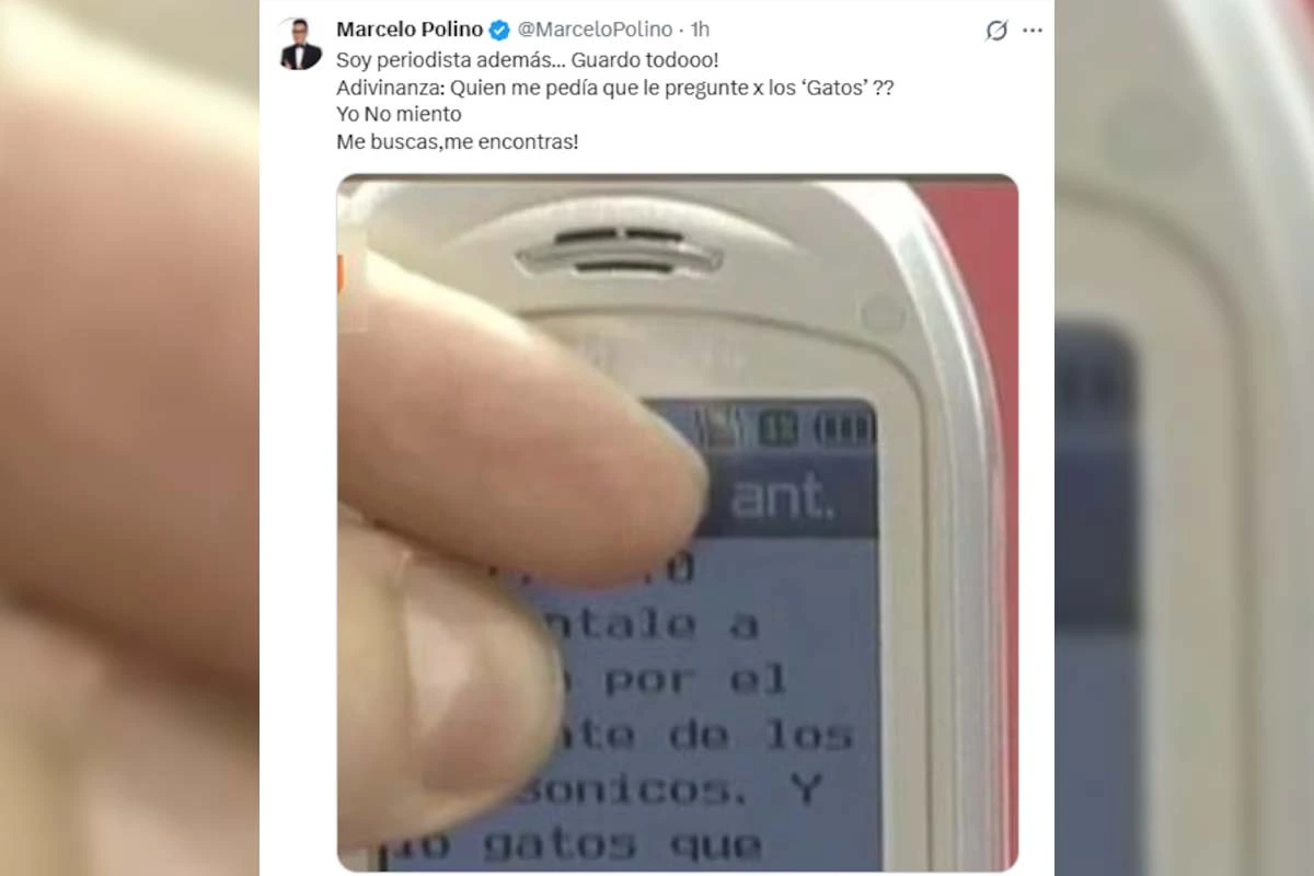 Qué mostró Marcelo Polino sobre el supuesto chat de Ximena Capristo