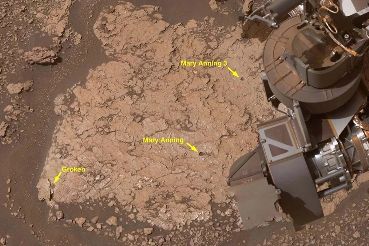 Cómo se realizó el descubrimiento