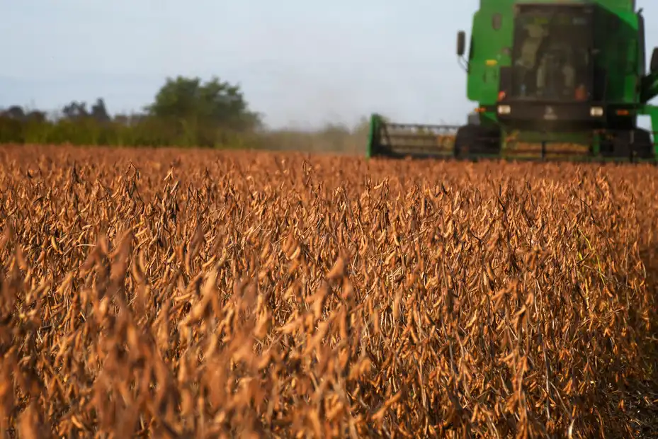 Córdoba's soybean consolidates a great campaign with averages exceeding 43 quintals per hectare