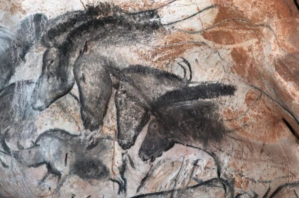 Luz ultravioleta revela capas minerales que protegieron el arte de la Cueva Chauvet