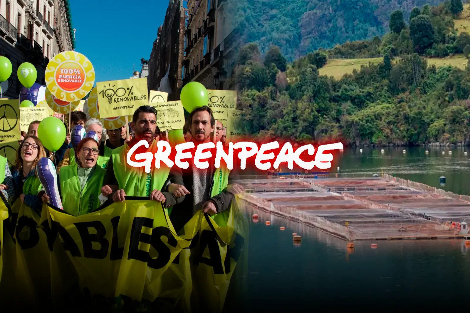 Greenpeace no se indignó por la salmonicultura británica en Malvinas mientras celebró su prohibición en Tierra del Fuego