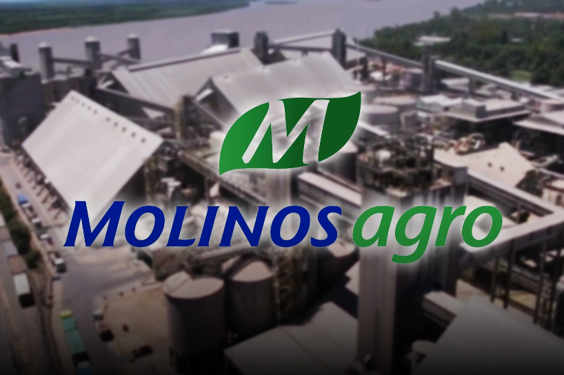 Récord agroindustrial: Molinos Agro impulsa un megaproyecto portuario de USD 800 millones