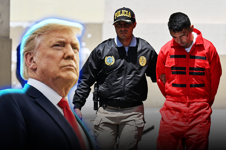 The Trump administration arrested 260 members of the Tren de Aragua who were released under Biden's mandate.