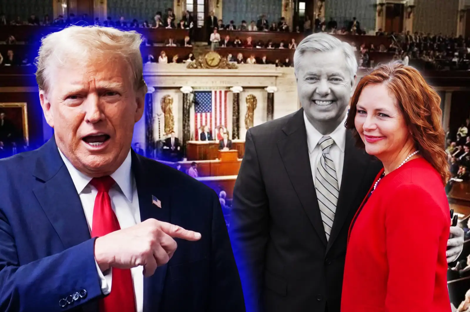 Trump proposed Lindsey Graham's sister, Darline, to fill his seat in the Senate on an interim basis