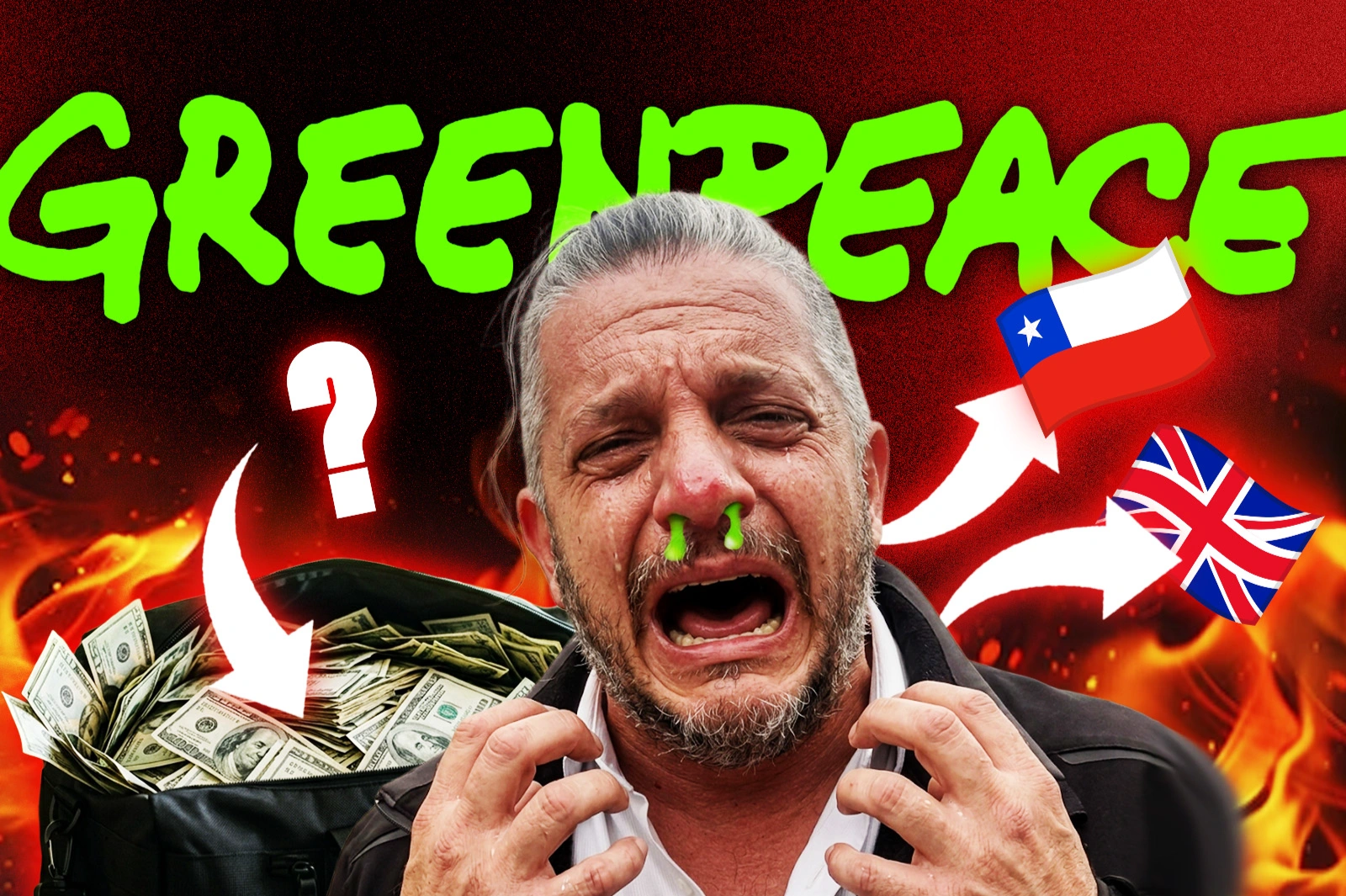 Quién es Diego Salas, el director de la ONG británica Greenpeace en Argentina