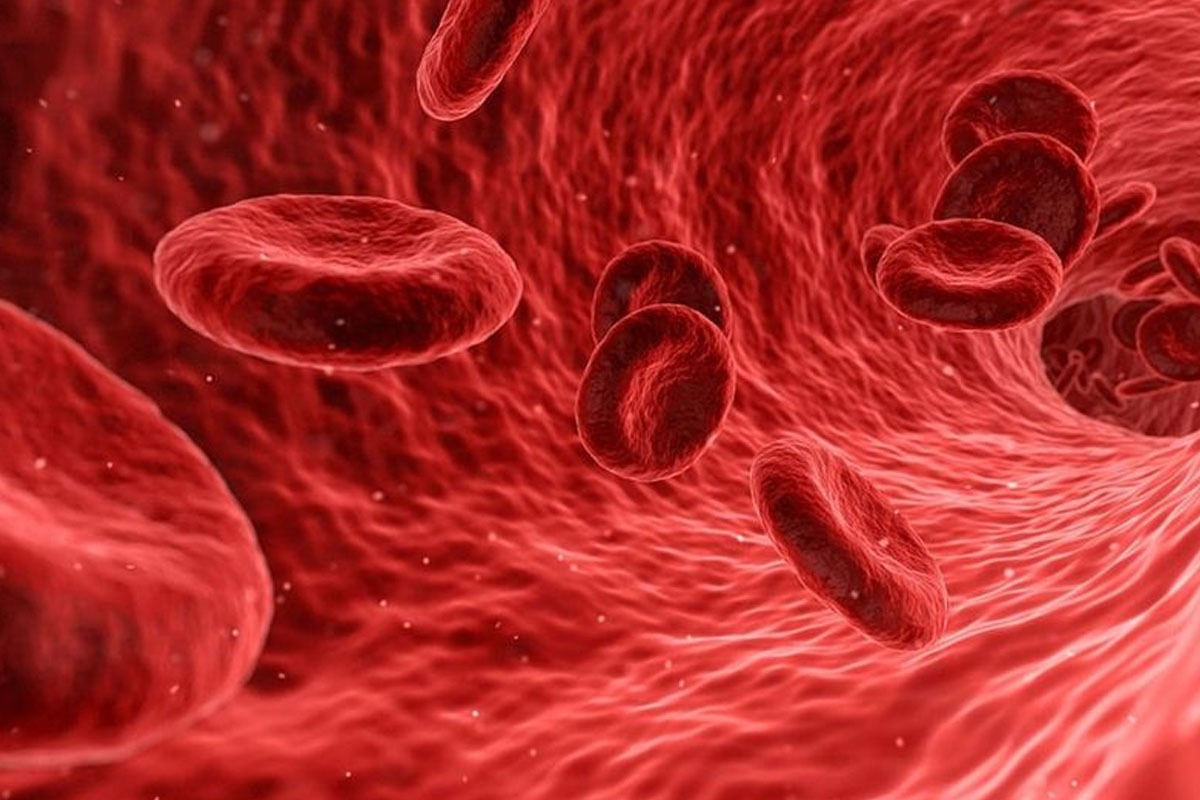 Cómo se detectaron los primeros casos en el país