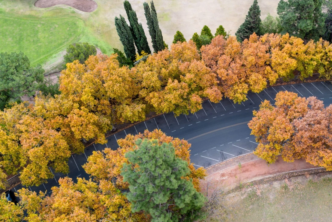 Otoño en Mendoza: paisajes, vino y experiencias que la convierten en un destino imperdible