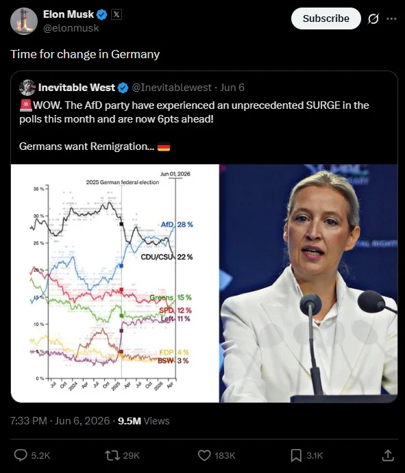 AfD logró el apoyo de Elon Musk