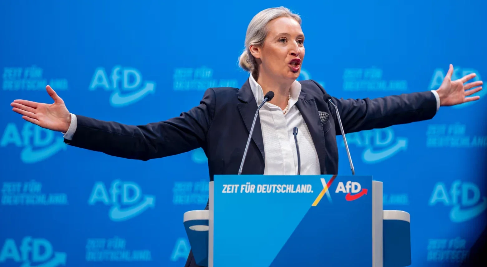 Alice Weidel lidera el AfD