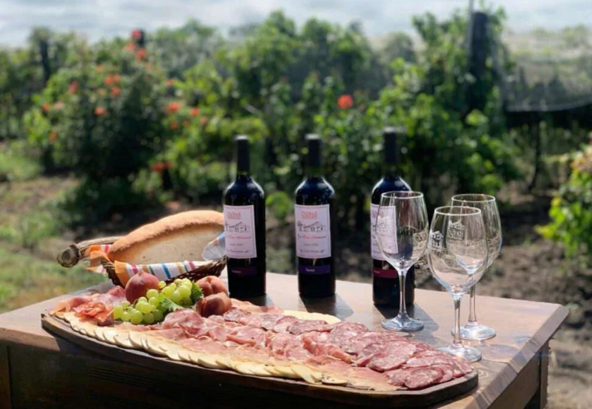 Flavors of Córdoba: Colonia Caroya, Oncativo, and Villa María, an unmissable journey for food lovers