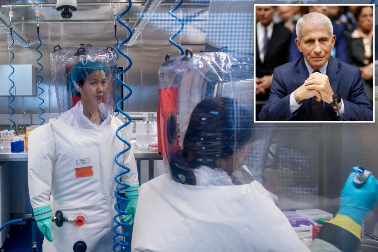 Tulsi Gabbard desclasificó documentos que vinculan a Fauci con la financiación del laboratorio de Wuhan