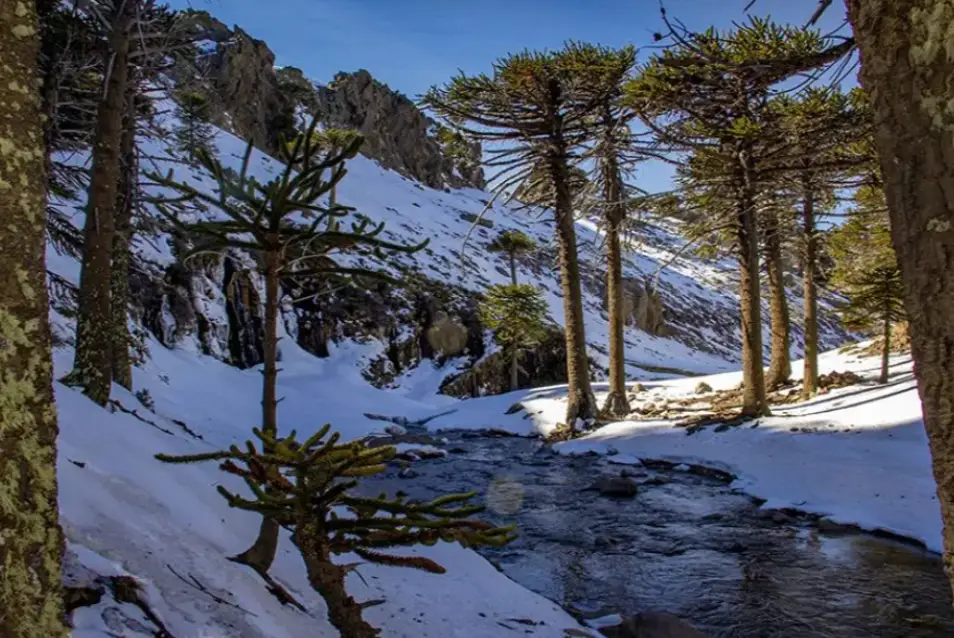 Hidden Waterfall: the winter route that becomes one of the main attractions of Neuquén