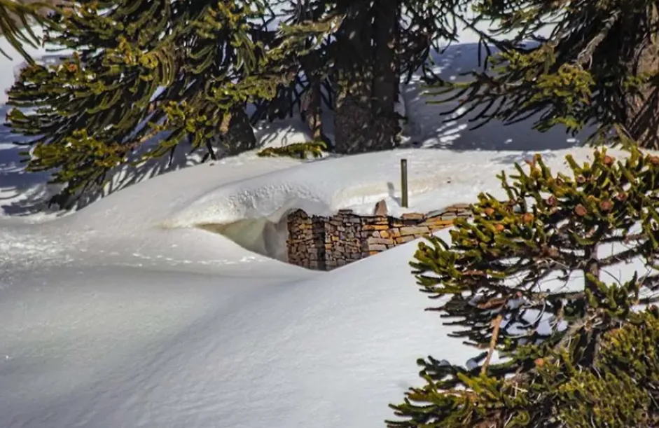 A walk among forests, streams, and frozen landscapes
