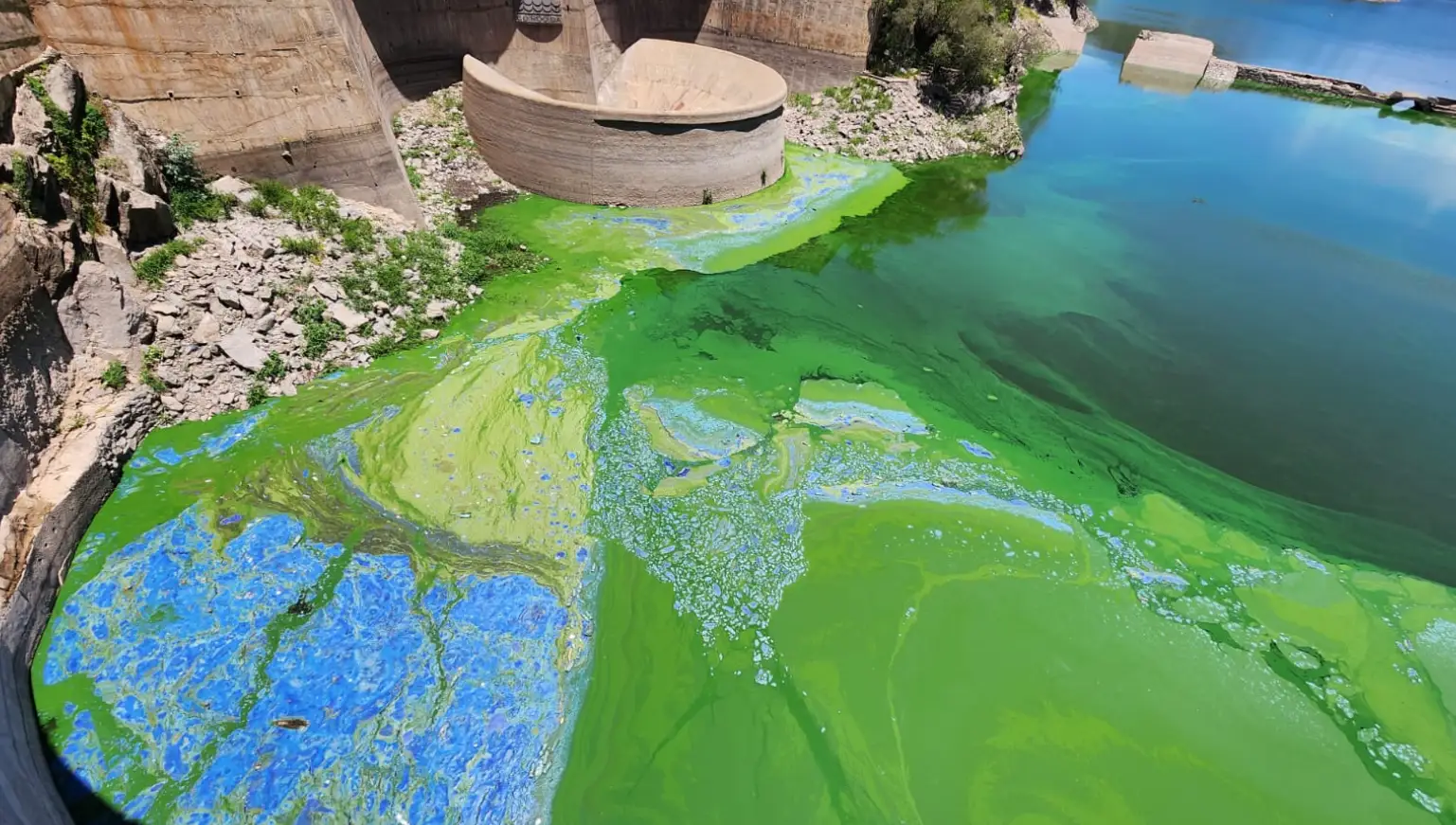 Lago San Roque: un clásico de Córdoba