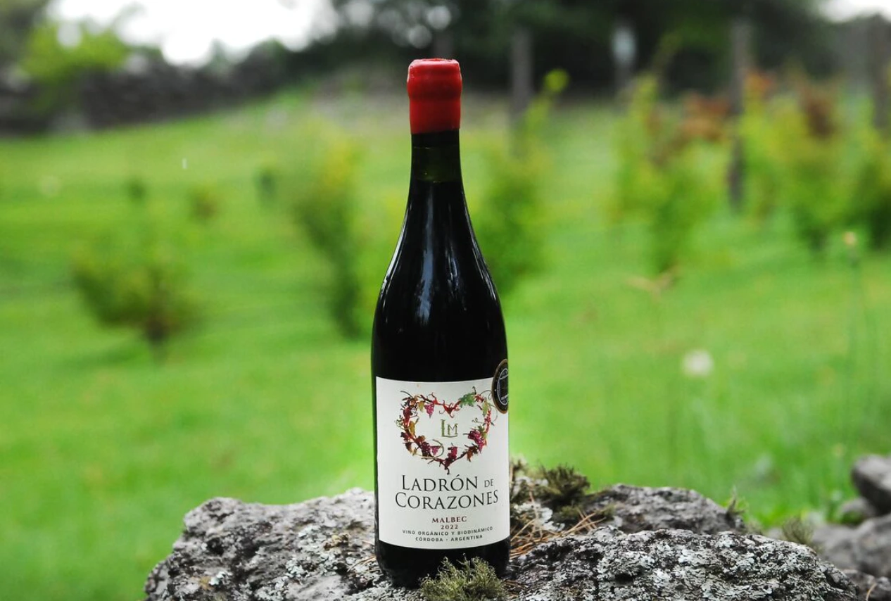 Los vinos cordobeses, una identidad que crece