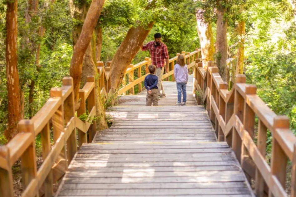 Villa La Angostura se prepara para la tercera edición del Festival Internacional de los Arrayanes