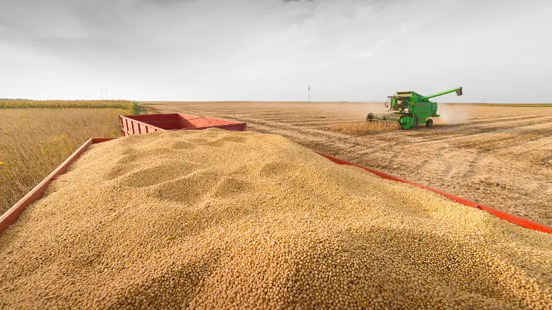 El clima internacional abre una oportunidad para fortalecer las exportaciones argentinas.