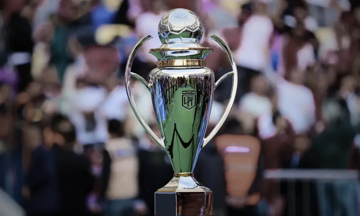 The AFA confirmed that there will be matches of the Torneo Clasura during the next FIFA date