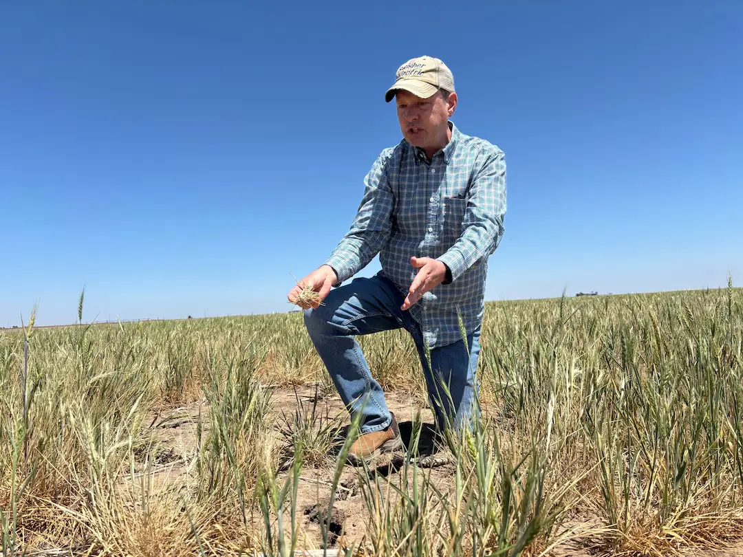 El programa ''Harvest Fuel Relief'' buscará compensar los altos costos operativos que enfrentan los granjeros frente a la incertidumbre internacional