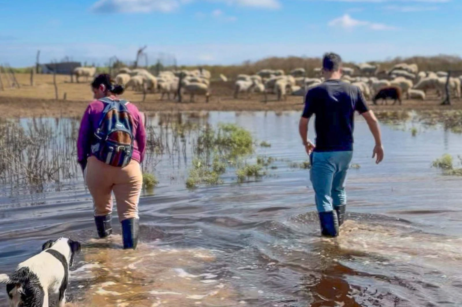 El drama de las familias del norte cordobés aisladas por las lluvias