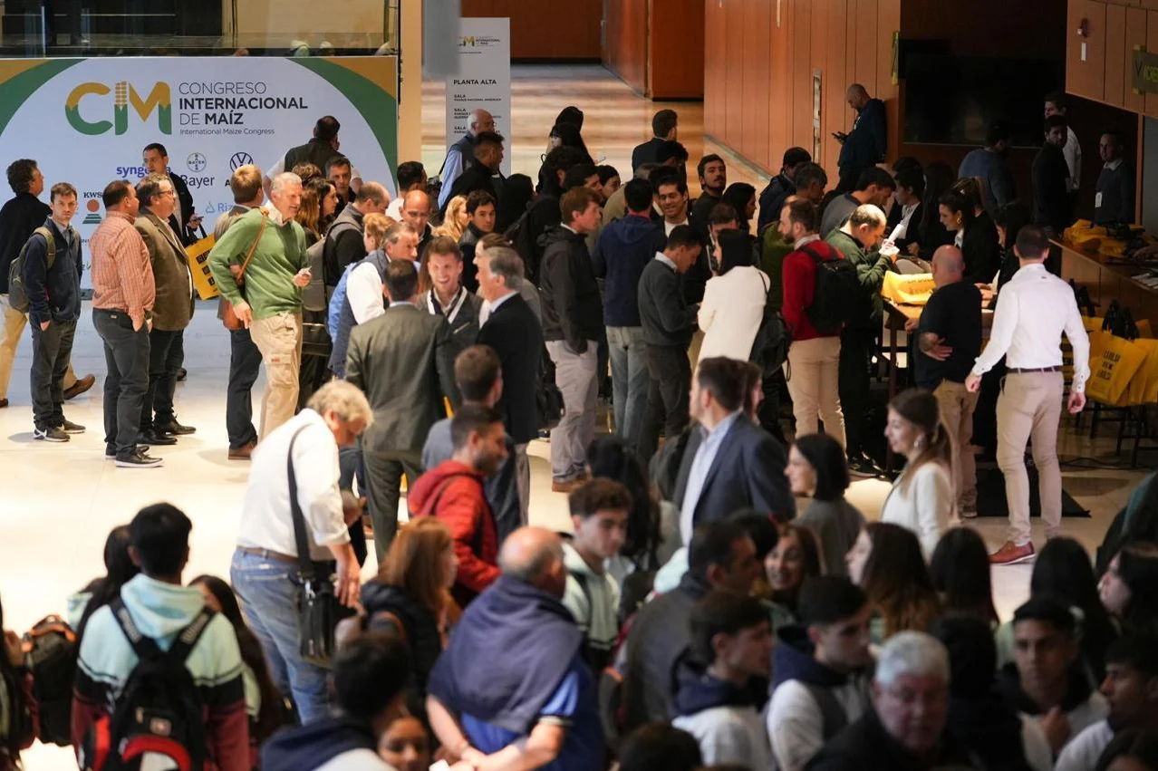 Con El Niño y la "chicharrita" de fondo, Córdoba vuelve a debatir el presente y el futuro del maíz a nivel nacional