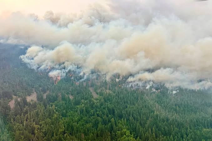 El gobierno estadounidense deslizó la posibilidad de imponer gravámenes sobre Canadá debido a los incendios forestales cuyo humo afecta a Estados Unidos