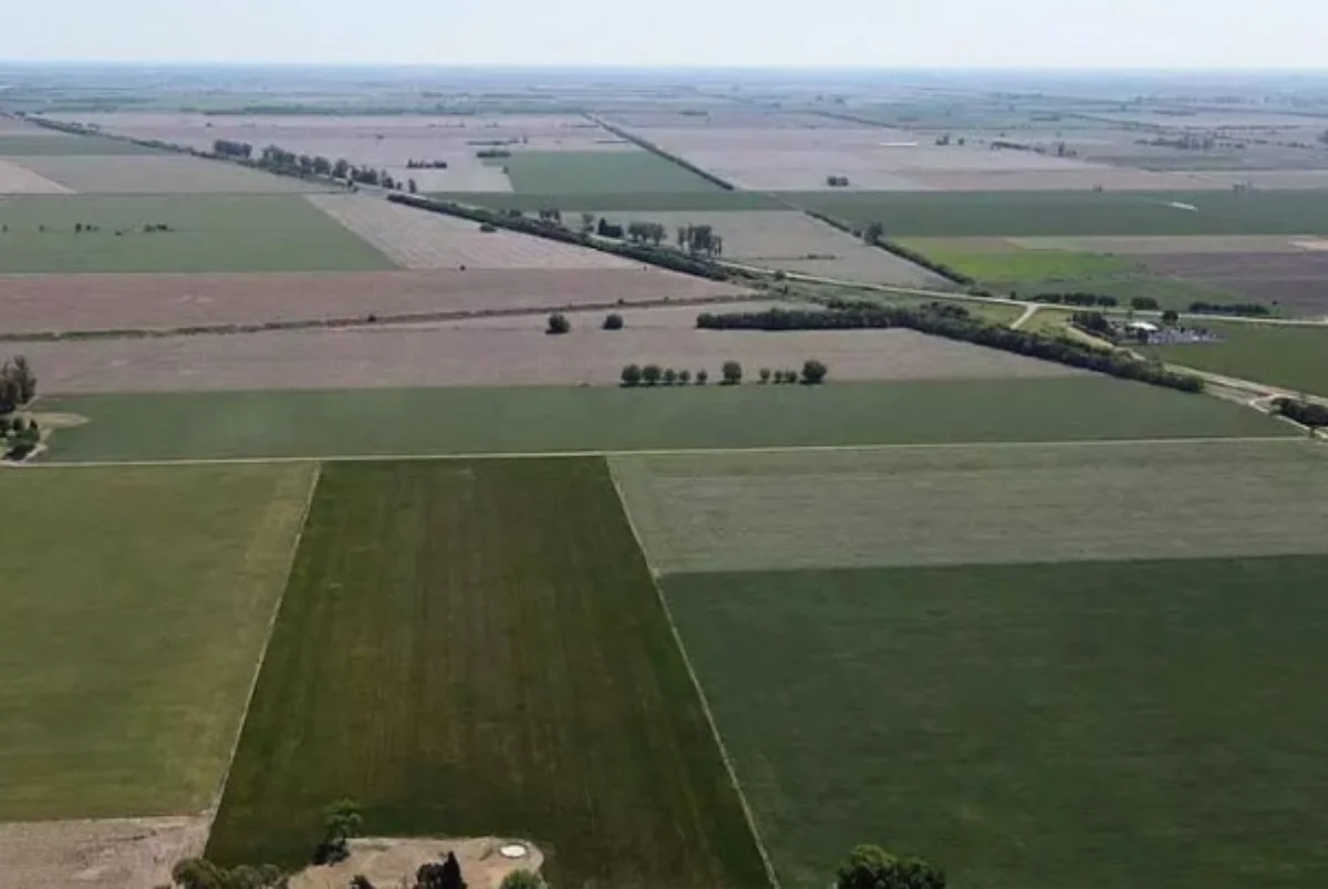 Los campos agrícolas impulsan el mercado inmobiliario rural de Córdoba