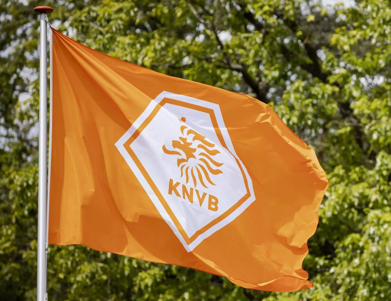 The KNVB seeks to reform FIFA