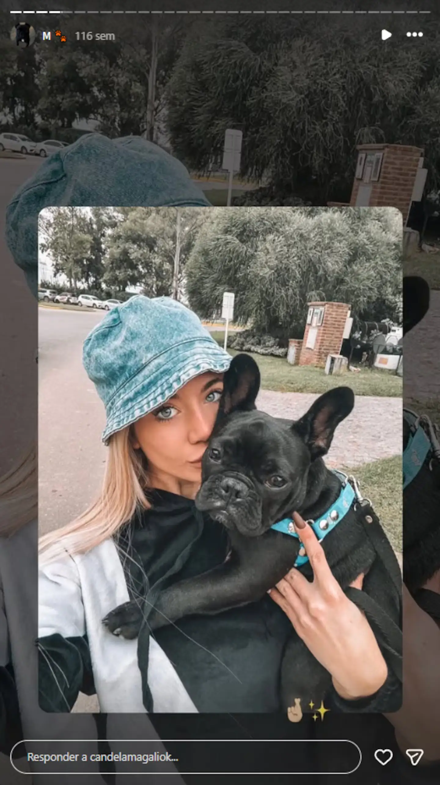 The dog that L-Gante gave to Candela