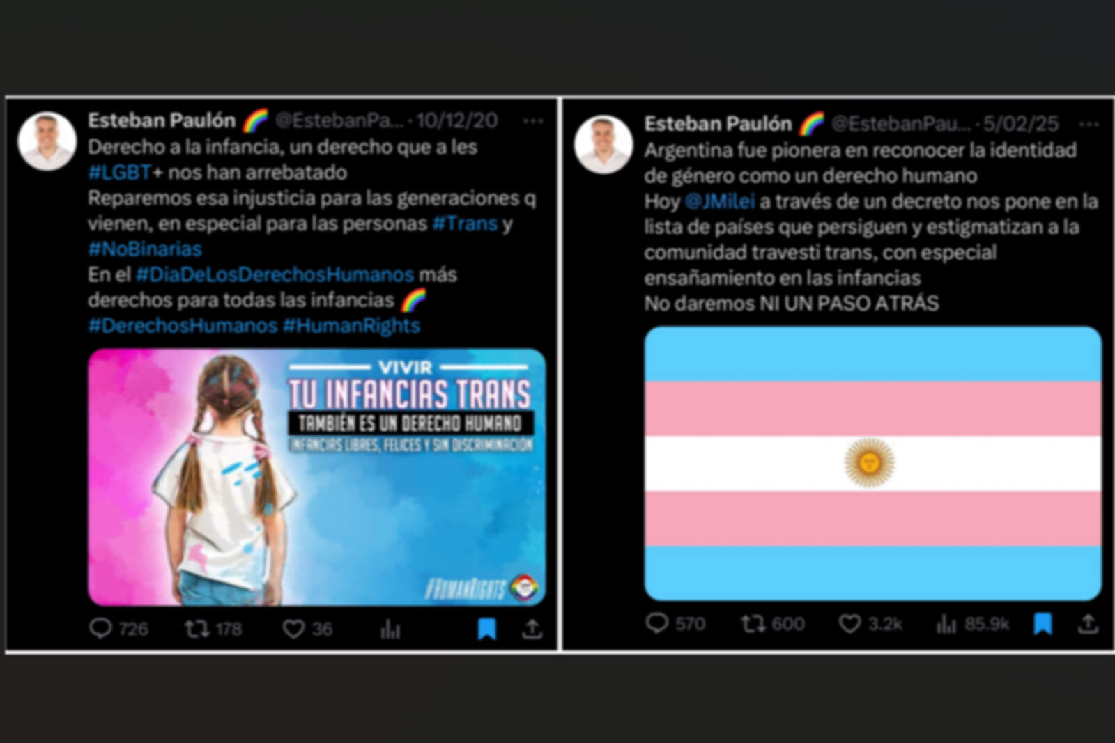 Algunas de las pólemicas declaraciones de Esteban Paulon.