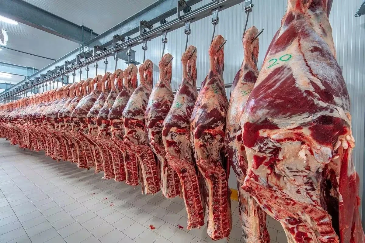 Carne argentina de exportación