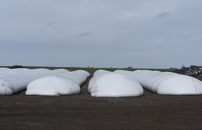 El acopio dejara de ser penalizado crediticiamente.